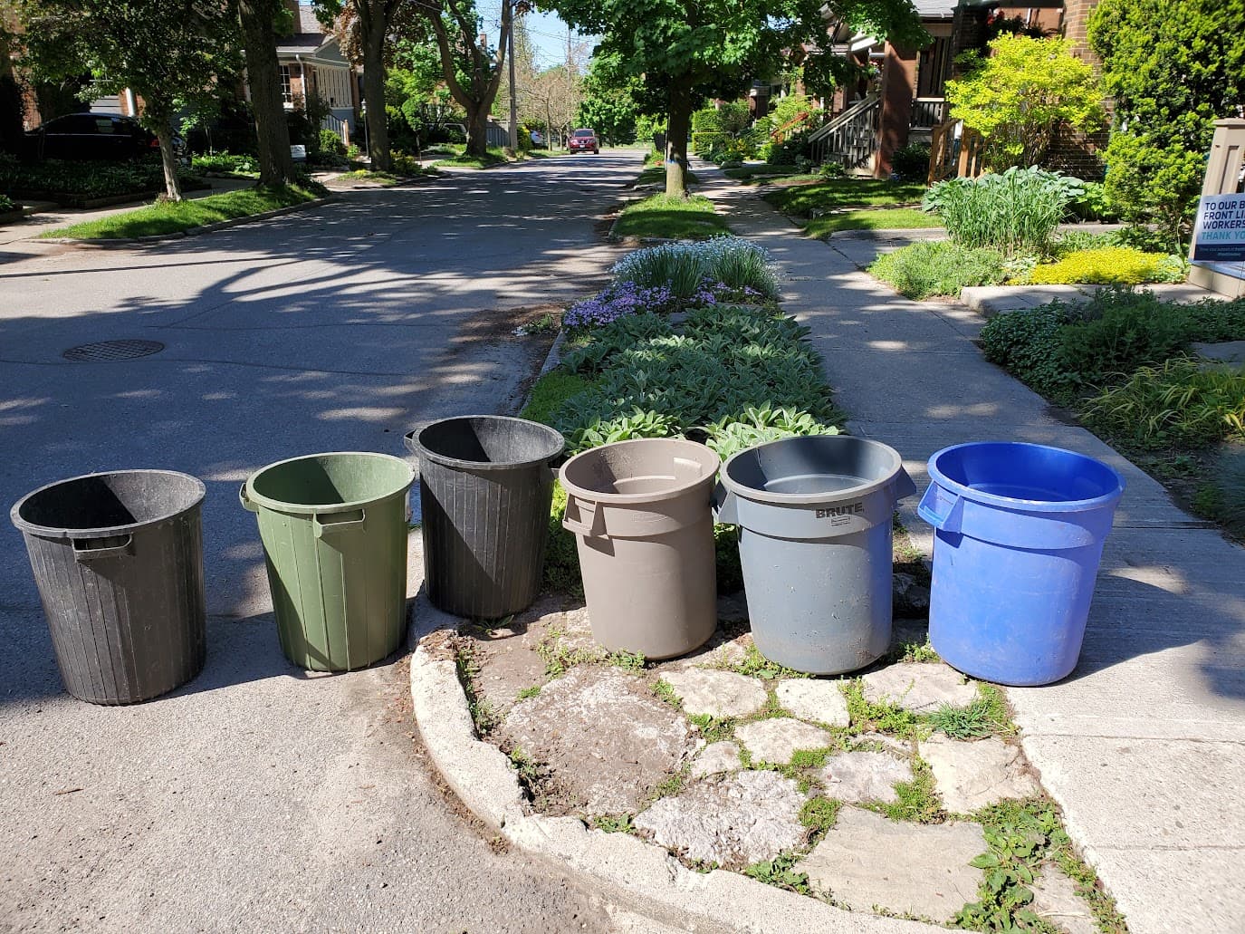 Six garbage cans lined up on a sunny residential street, each a different colour and brand. The buckets, sitting on cracked patio stone, doing what they were built to do.